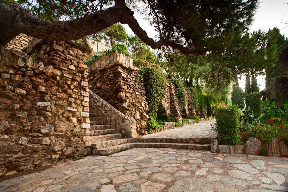 lovingmalaga tweet media