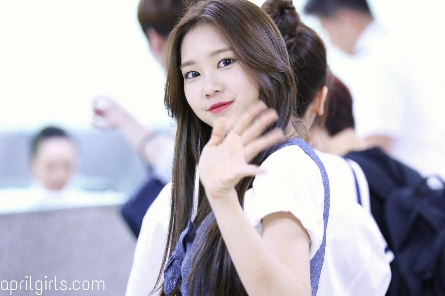 my_jiho's tweet photo. [HQ] 160715 JIHO @ GIMPO AIRPORT DEPARTURE #JIHO #OHMYGIRL #지호 #오마이걸

© AprilGirls420 https://t.co/STScdGingQ