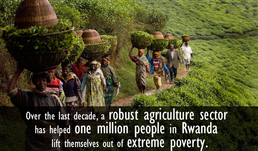 WBG_AgriFood's tweet photo. In #Rwanda, agricultural productivity has increased by more than 1/3 over 10 yrs: https://t.co/5hpna0MM0K #IDAWorks https://t.co/3xKzT64UtH