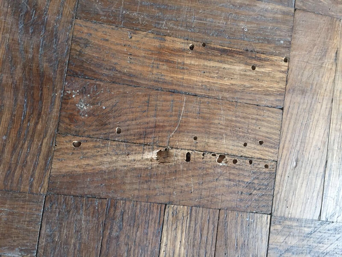 Bensleys T M Co Ltd On Twitter Death Watch Beetle In Church