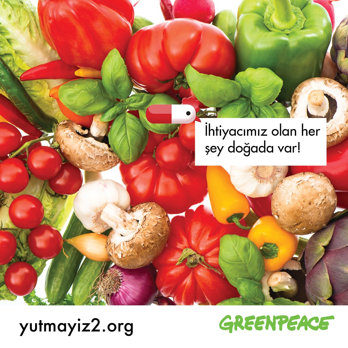 Kampanyaya katıl, endüstriyel tavukçuluğa mahkum olma>> bit.ly/2a3oira