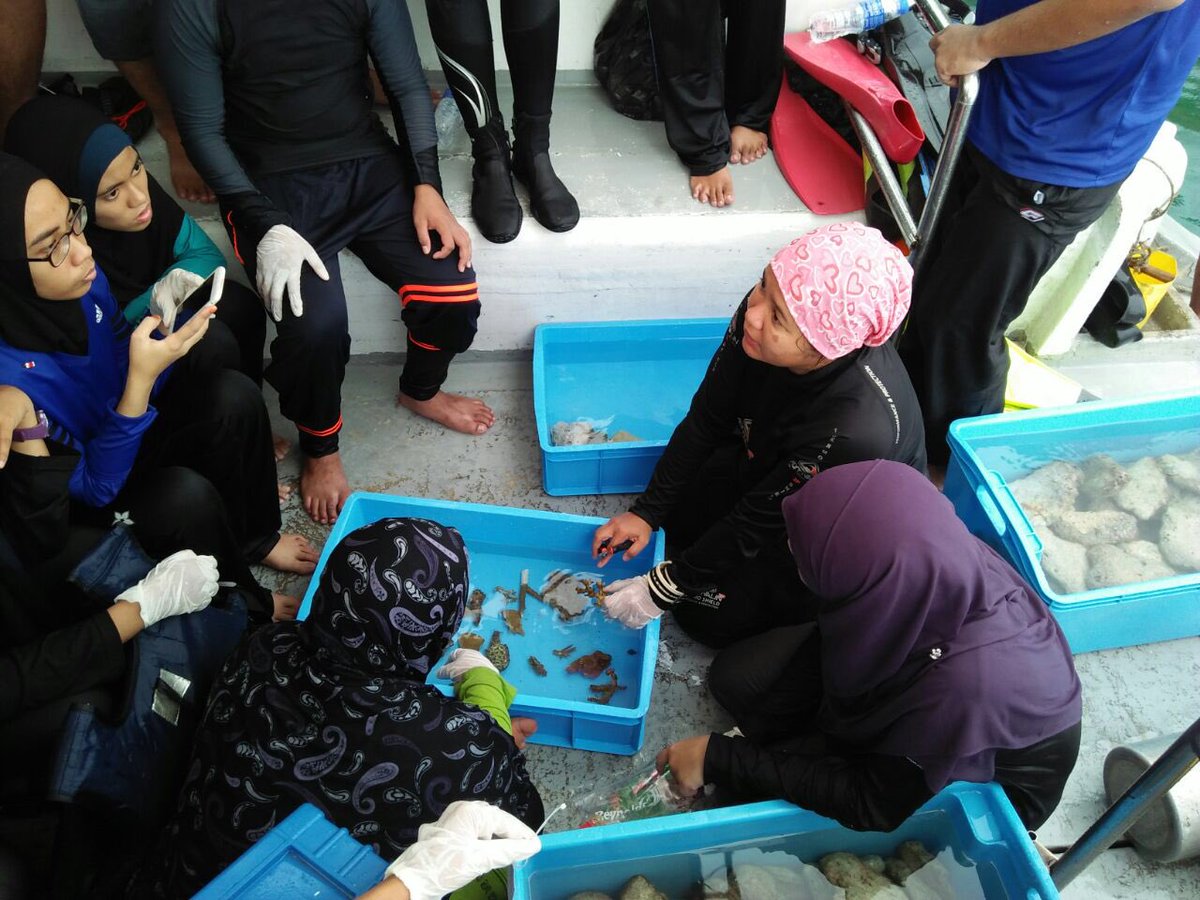 AliaMdZaini's tweet image. Tanam coral. Hooyeahh #teamybr #cpp2