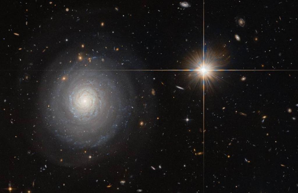 Galaxy MCG+07-33-027 is currently experiencing a starburst! ✨

Find out what that means: go.nasa.gov/29TVyju