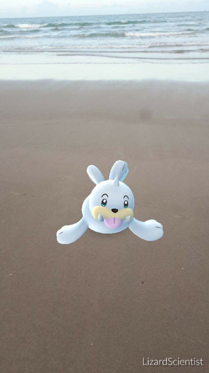 PokemonGoORL's tweet photo. #pokemongoorl #pokemongo #beach #Florida #seel #pokemon beautiful Oceanside Pokemon https://t.co/tblXSwvS1s