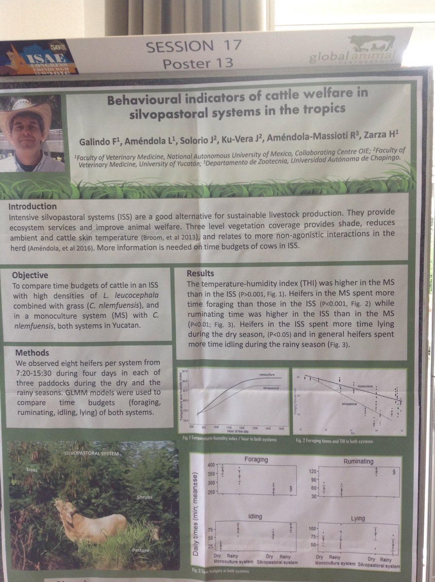 MarcBracke's tweet photo. RT @giuliana_miguel: #ISAE2016 indicadores de bienestar en sistemas silvopastoriles @FMVZUNAM Prof Galindo https://t.co/6F02c17IZK