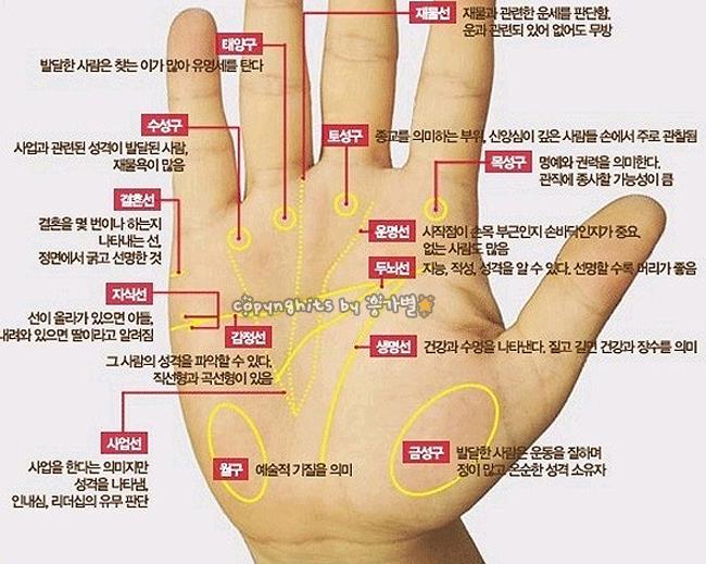 내손금도 봐보고 싶다 ㅋㅋ
#손금 #손금보는법
손금, 재물운 손금보는법 (출처 : 러블리 | 네이버 포스트) naver.me/G2lW6A4N
