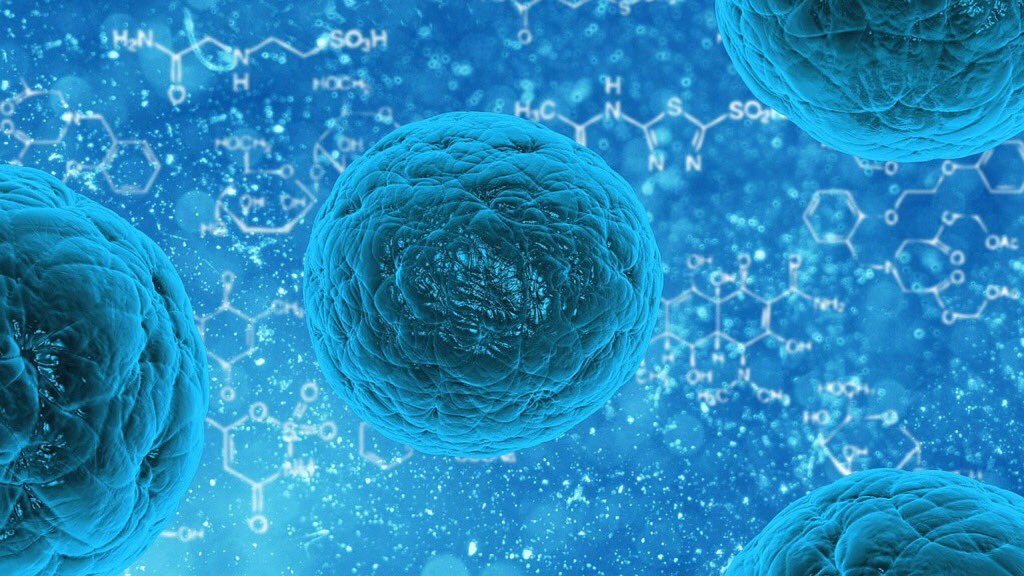 DeepStuff's tweet photo. Researchers coax human stem cells to rapidly generate bone, heart muscle https://t.co/Pye2O0DaZc #science https://t.co/1NMCQ92QJS