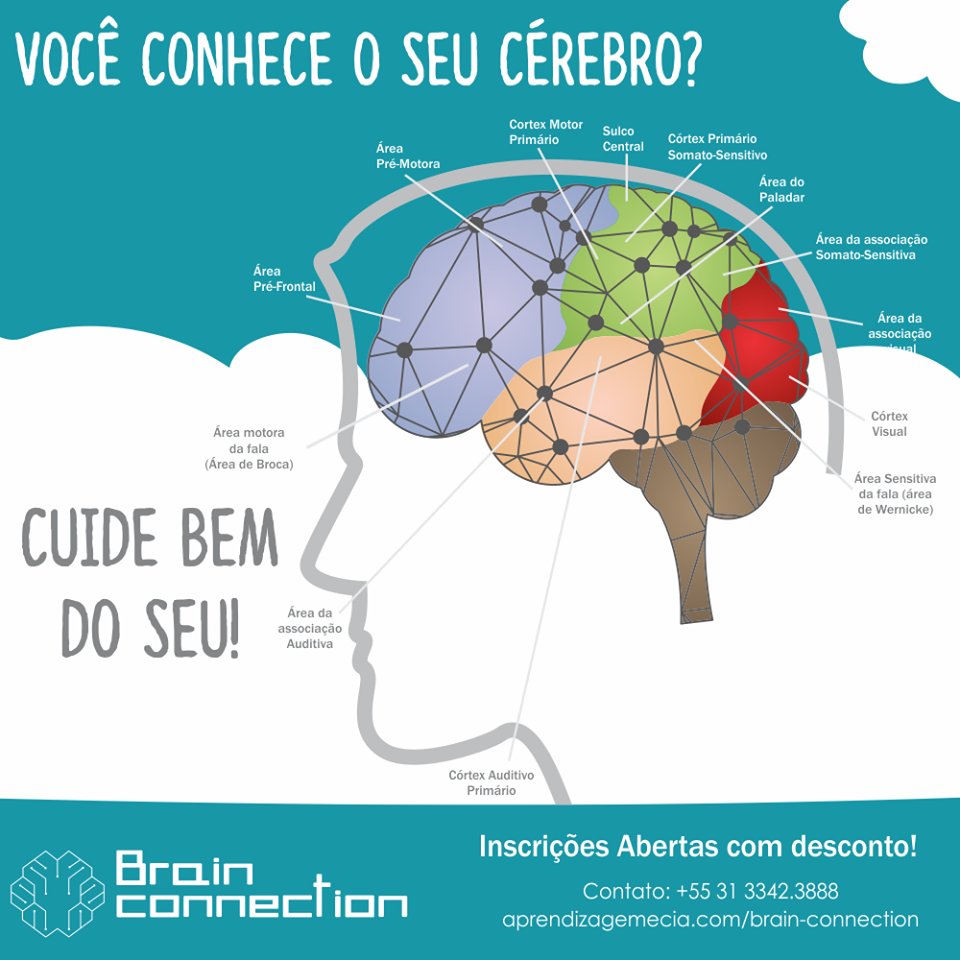 BrainEventos's tweet image. Você conhece o seu cérebro? A partir de agora postaremos algumas dicas e informações. goo.gl/WRkQaC