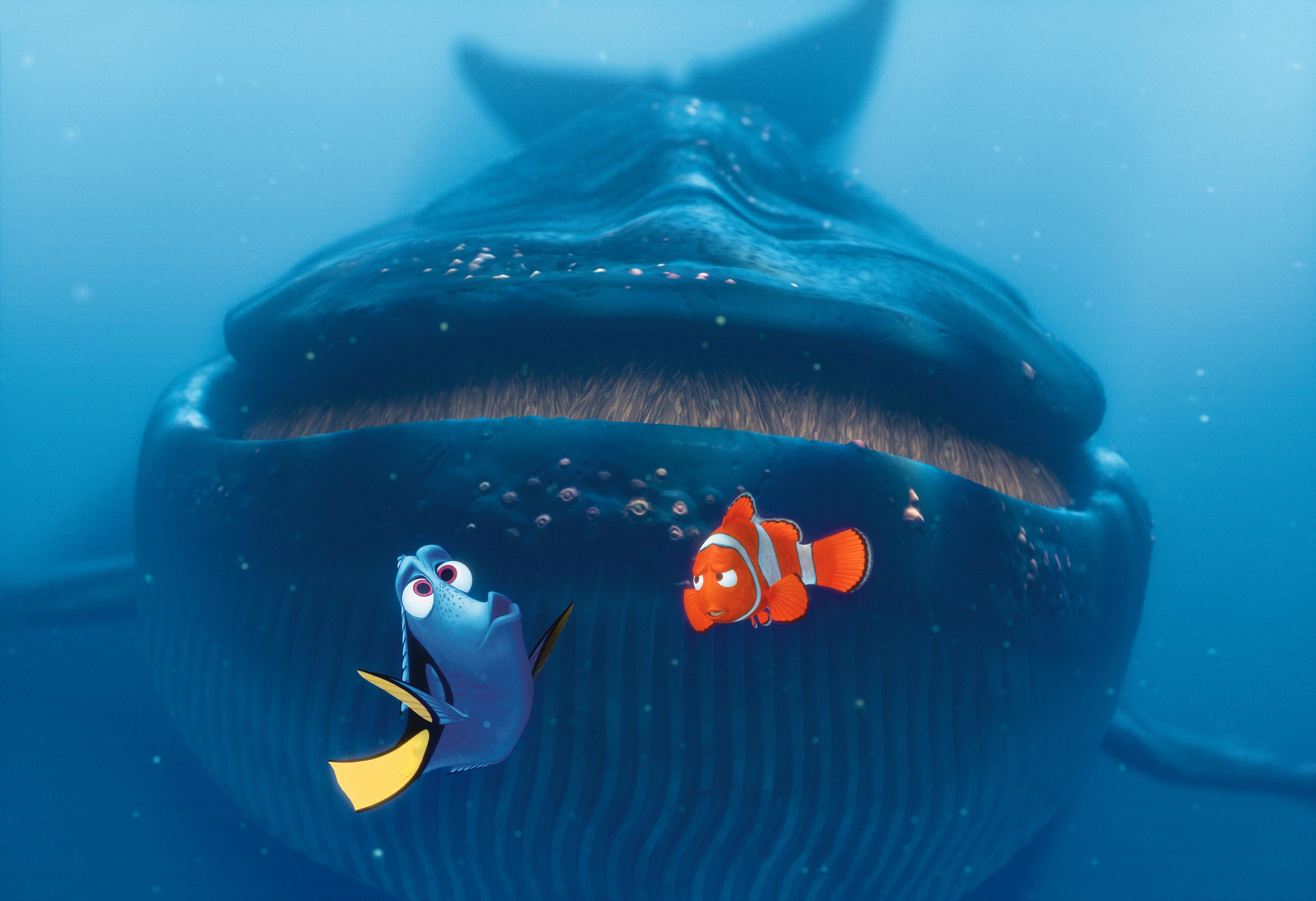 ディズニー スタジオ Oo ドリーはクジラ語が堪能 標準語にくわえて 方言 ザトウクジラ語まで話せます ファインディングニモ T Co U45ind59lj Twitter