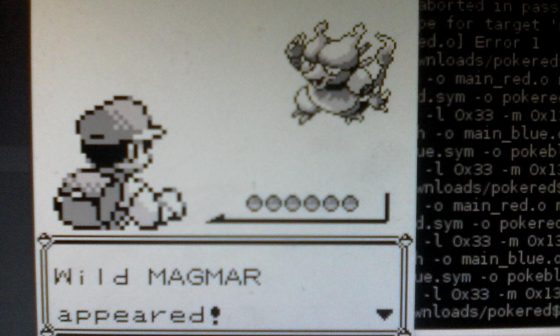 Wizmatch's tweet photo. Trying to randomise wild Pokémon levels, but now only Magmar appears. https://t.co/pb49jxvdxo