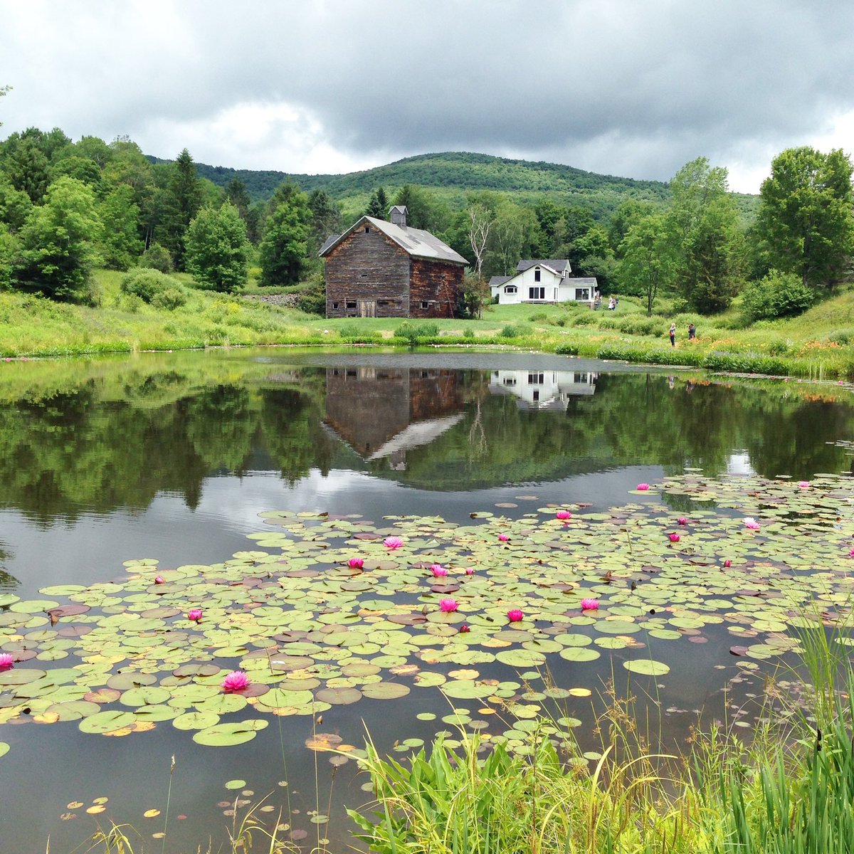 ColetteTheTree's tweet image. Sometimes I wonder who I would be if I had grown up somewhere else, like a place like this #treespeech