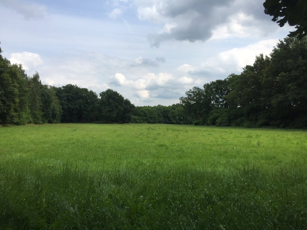 MarkHeuten's tweet photo. Tijd voor een goed gesprek in een prachtige omgeving https://t.co/z9BRxz48Cq