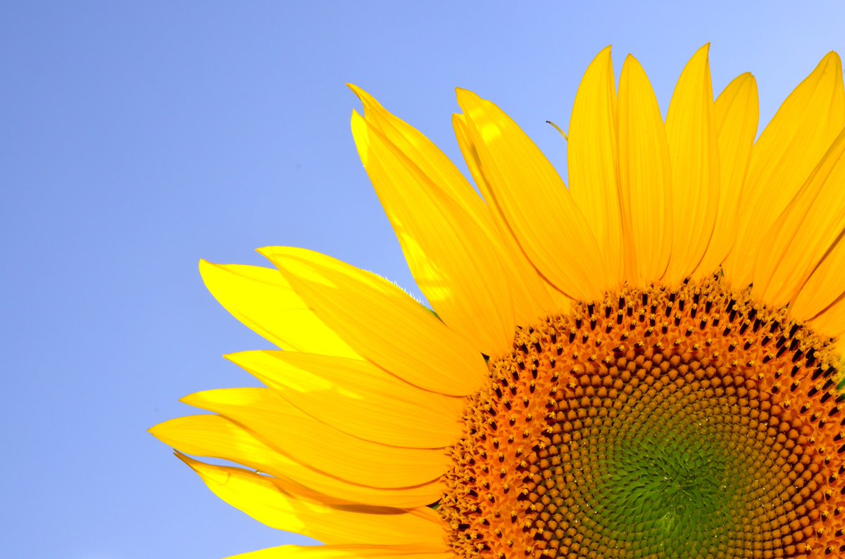 The weekend’s forecast looks promising, How will you be making the most of the sunshine? #FridayFeeling