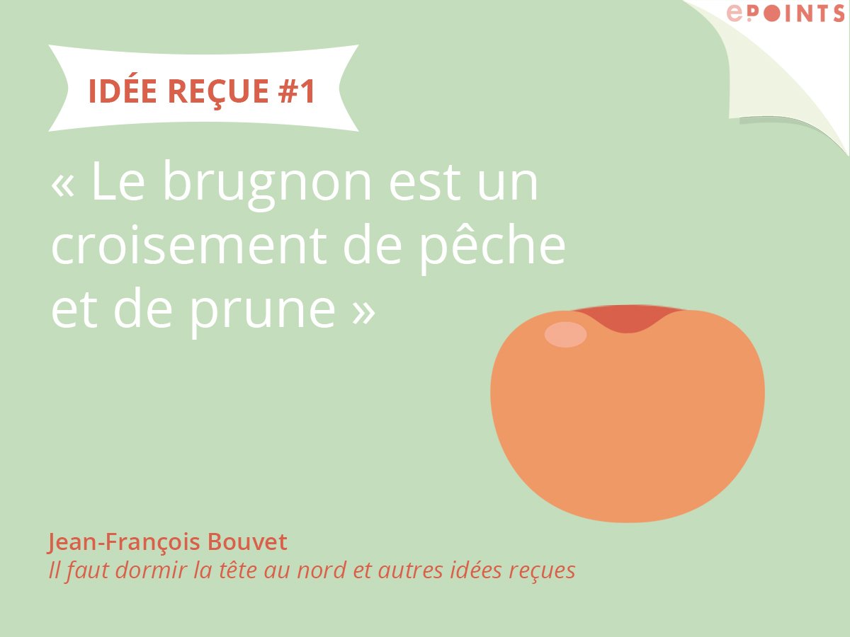 ePoints_ed's tweet image. "Le brugnon est un croisement de pêche et de prune". 
D'autres idées reçues ici &amp;gt; buff.ly/29JbVin