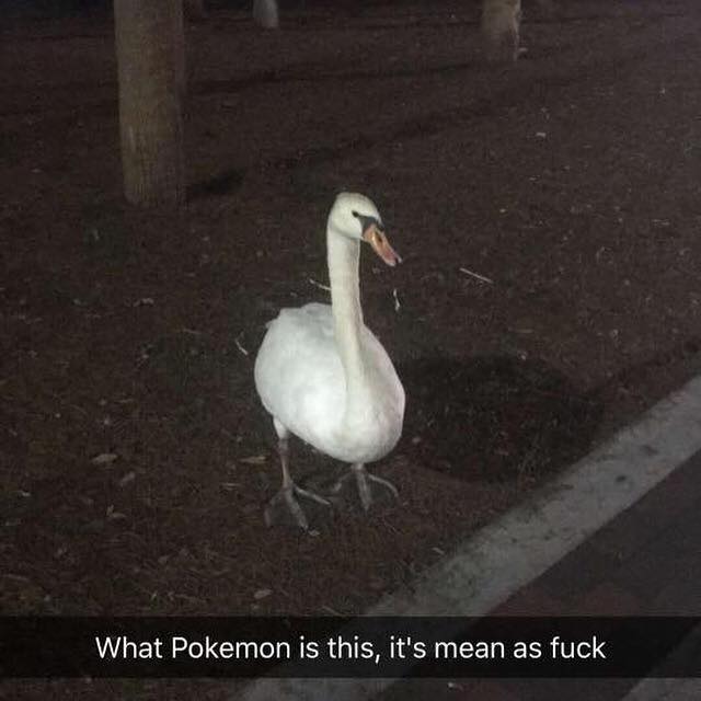 Eerie_Effects's tweet photo. Our @PokemonGoApp did not work on this nasty pokemon... https://t.co/zIojKOrait