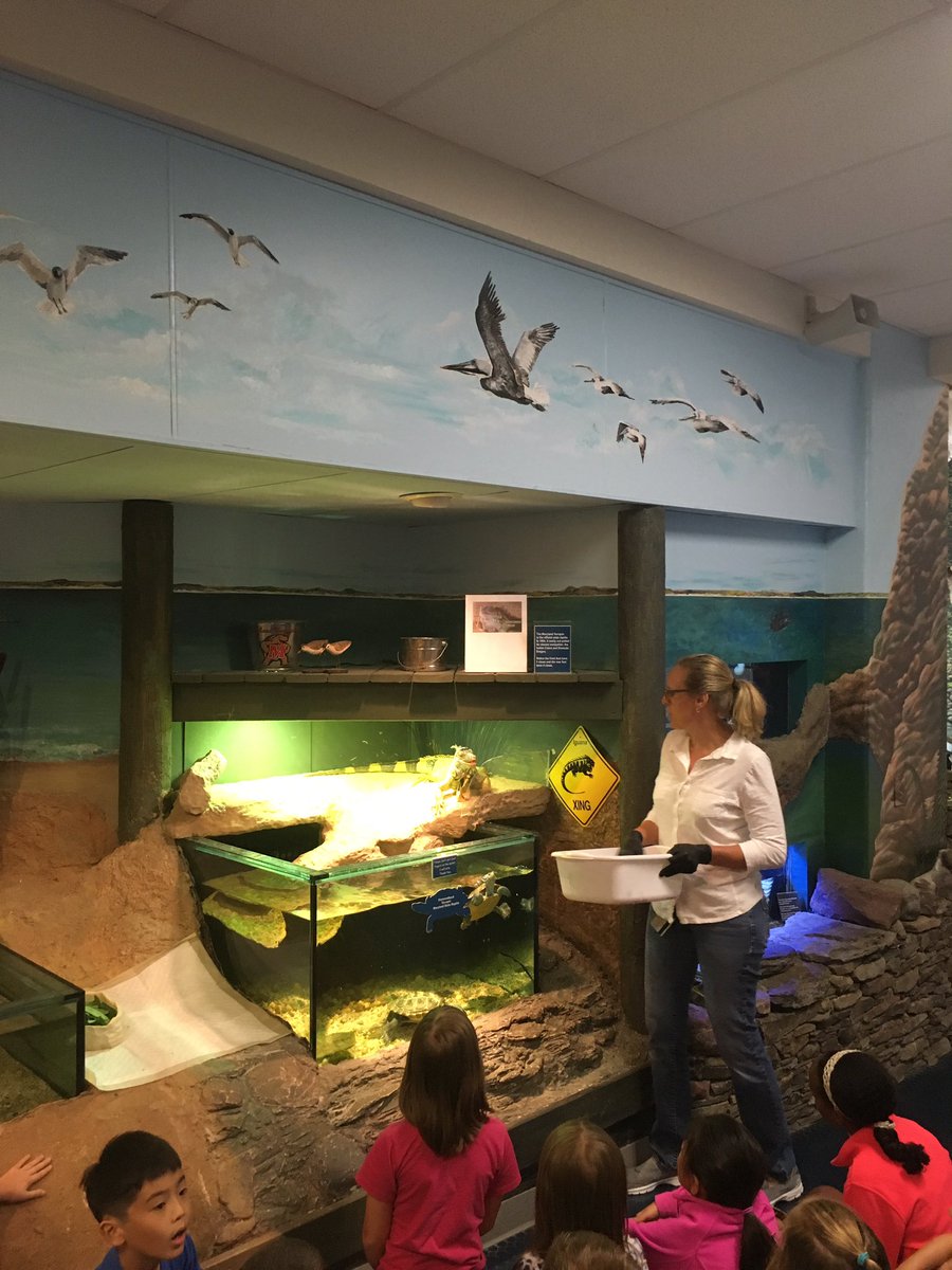 kmwersten's tweet photo. Feeding time at the ESSL @FCPSESSL @FCPSMaryland https://t.co/xh6CAsFbG7