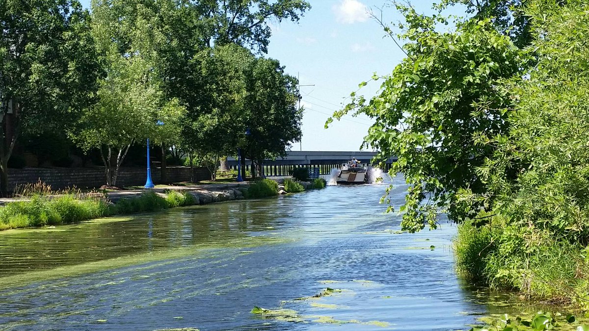 The weed eater is here!  Thank you, county lakes people!