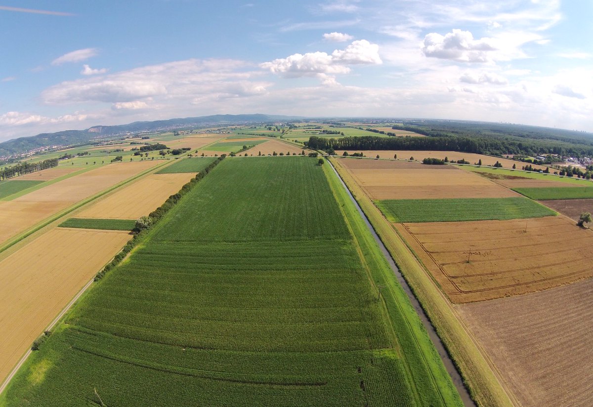 Ein tolles Wetterchen! 😍🎉 #Flugwetter #Sommer