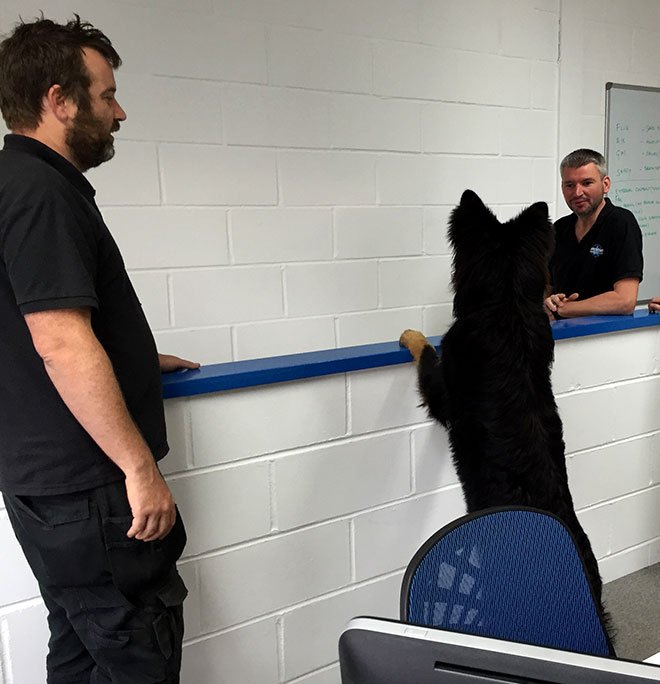 pipedreamsph's tweet image. The Pipe Dreams team discussing their plans for the weekend #FridayFeeling