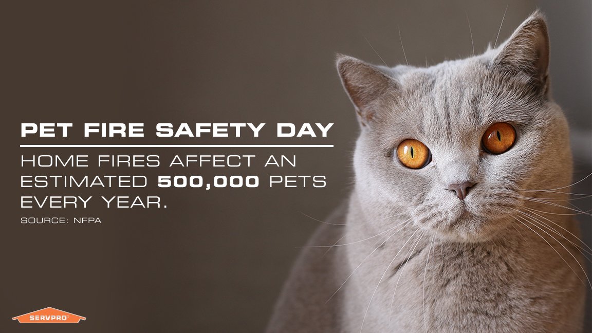 Home fires affect an estimated 500,000 pets every year. Make a plan for your furry friends. #PetFireSafetyDay