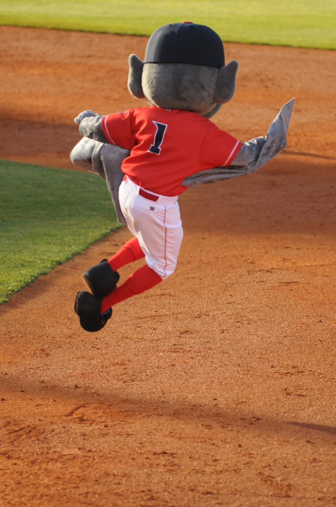 BuddyBat's tweet photo. That @LouisvilleBats walk-off win last night has me all excited!

Here's a picture of me coming into work today... https://t.co/Y7Jqbl2tIh