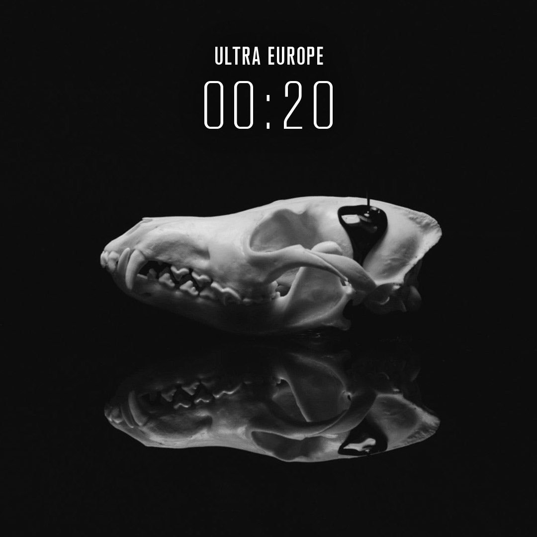 Cant wait 4 @ULTRAEurope 2night!Head 2 ultraeurope.com 2 watch my live stream on <a href="/UMFTV/">UMF TV</a> @ 12.20am #ULTRALIVE