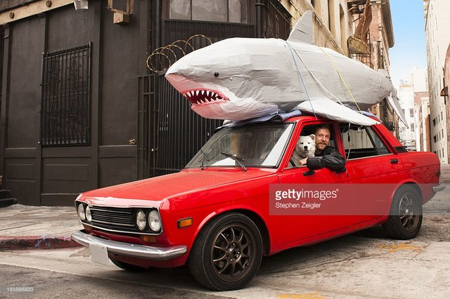 GettyCreativity's tweet photo. See our Creative in Focus 2016 #OutsiderIn visual trend images 📷: Stephen Zeigler https://t.co/jCxGxBAFQs https://t.co/XLR2nXEr4v