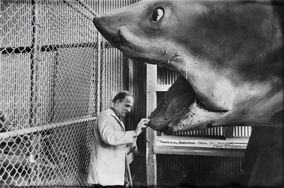 fatabbot70's tweet image. Ingmar Bergman investigates the shark prop (nicknamed Bruce) on the set of Steven Spielberg’s 'Jaws' (1975).
