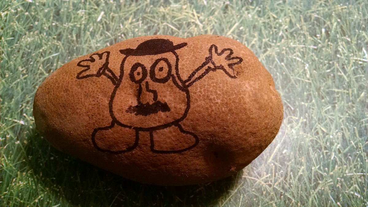 Mystery Potato (@mymysterypotato) / Posts / X