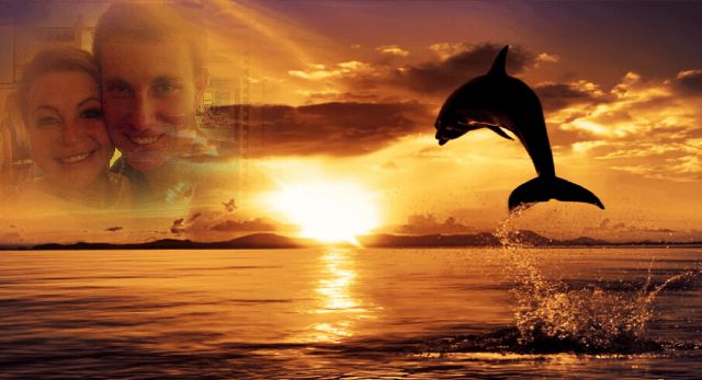 Reino Strydom (@strydomreino) on Twitter photo 