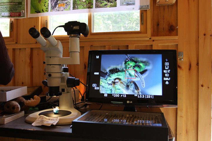 See wildlife like never before, see you at Meet the Researcher Day <a href="/Algonquin_PP/">Algonquin Provincial Park</a>, 28 July!
facebook.com/events/9106180…