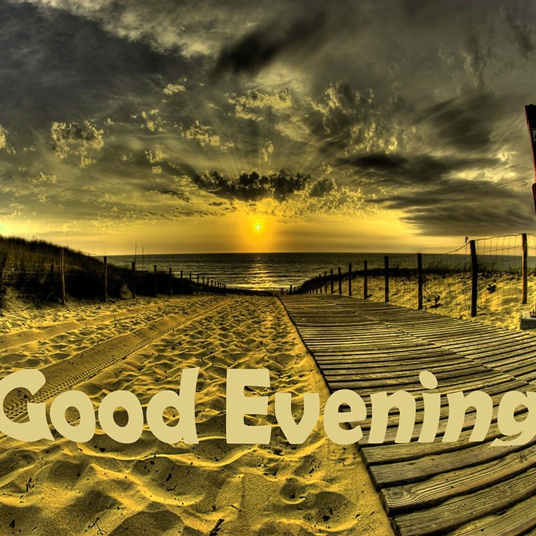 hafsah ahmed (@shermal40) on Twitter photo 