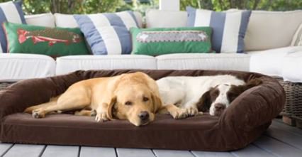 During these dog days of summer, don't you think they deserve a new bed? Enter to win! orv.is/2a3RiyU