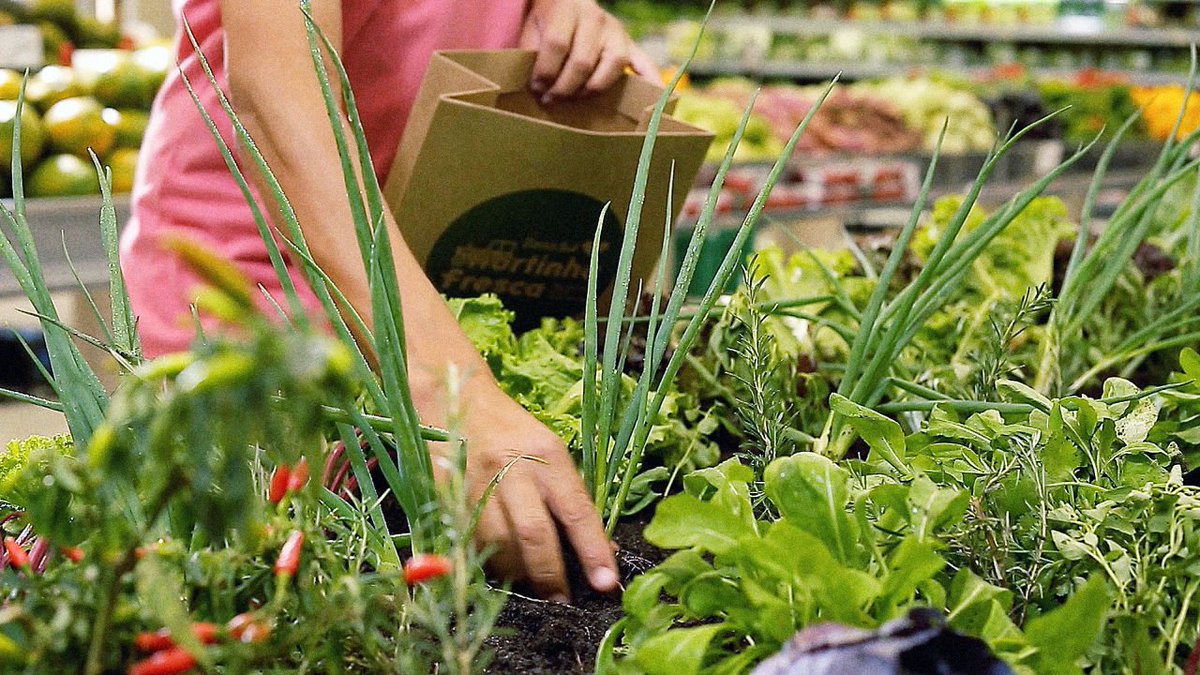 ScenariLavoro's tweet photo. Il supermercato con gli orti, dove frutta e verdura si raccolgono @startup_italia @wmccannbr https://t.co/mNsW1UEmq5 https://t.co/zkRTZa18oo