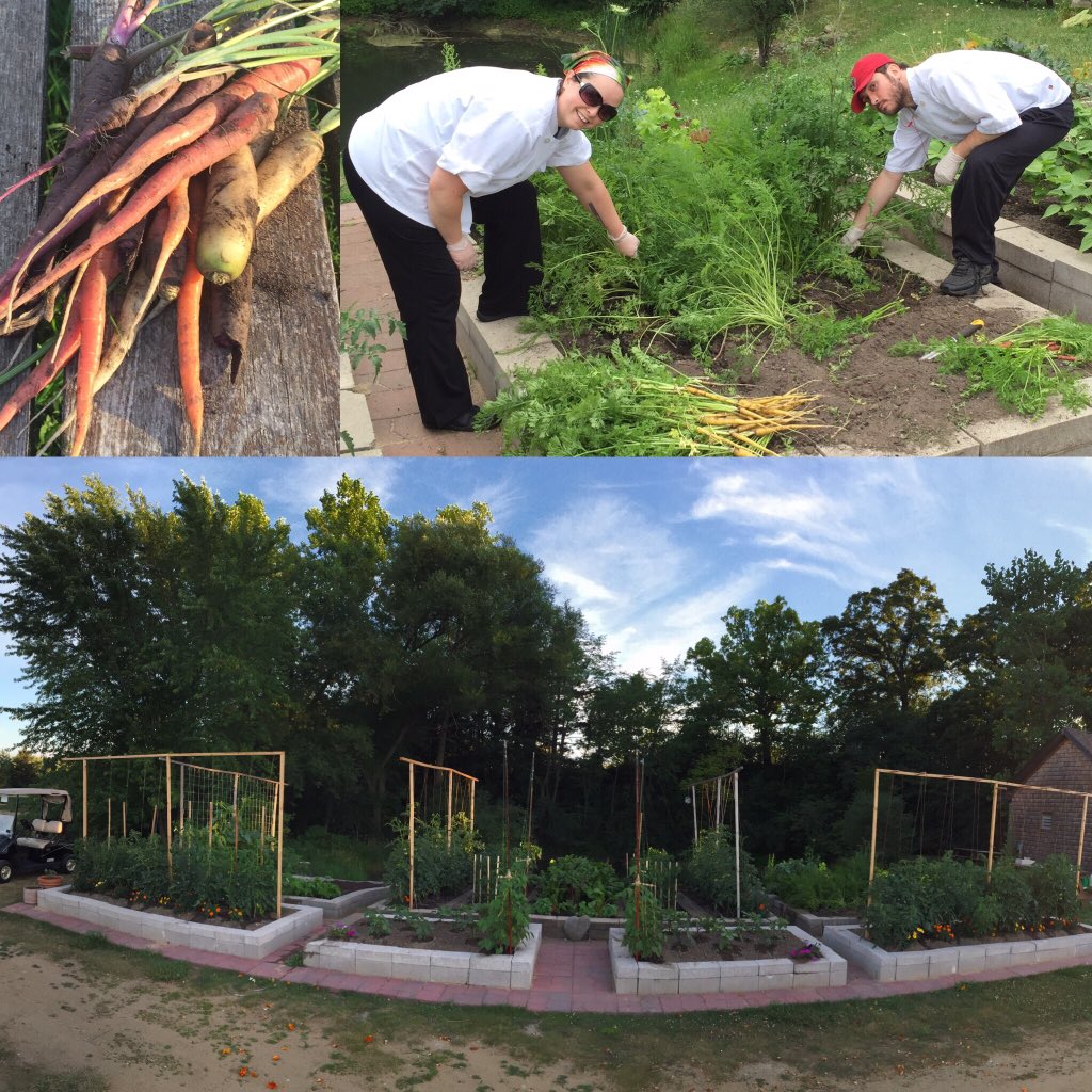 Harvesting carrots for tonight's special. Thanks chef Megan &amp; Jordan. #Kenosha #Golf. 
⛳️ 2 🍽. <a href="/SCfoodanddrink/">Kory DeLara</a>