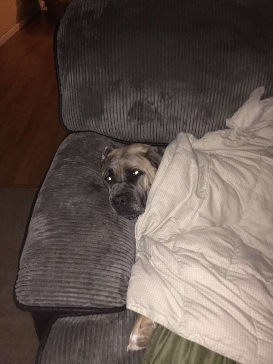 maddox_sukel's tweet photo. Get away I am tired https://t.co/c3LsQB5PzP