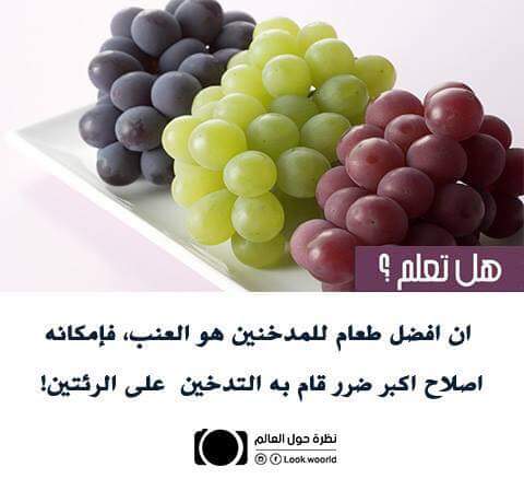 emaneldeeb96's tweet photo. https://t.co/Mfqm5i1omU