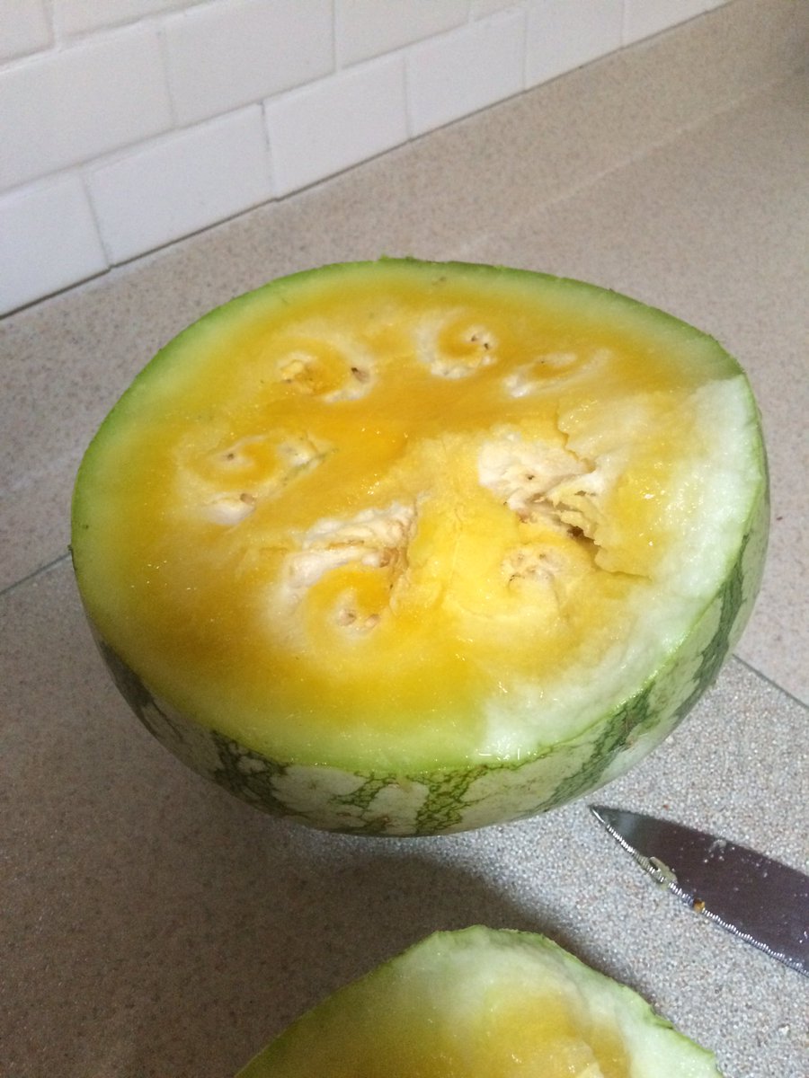 LivysIllusions's tweet photo. I just ate my first yellow flesh watermelon. And it was awesome https://t.co/3R81ufbzEL