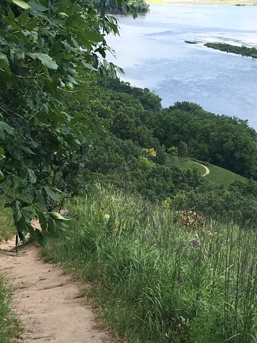 Dirtilus's tweet photo. Great day to hike one of #wisconsintrails. Perrot Ridge trail with a great view of the Mississippi.
#DanTravels https://t.co/b6RdPQSNtn