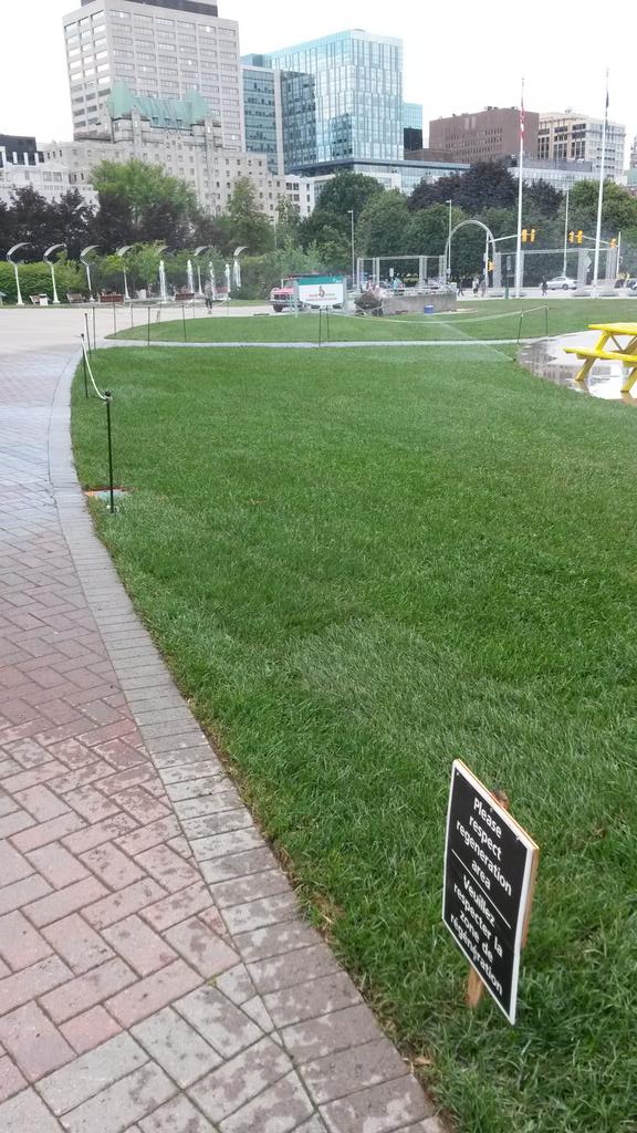 ZannerMills's tweet photo. Apparently the @ottawacity doesn't agree that watering the lawn in the middle of a hot summer day is not wasteful https://t.co/g57WyuAqm0