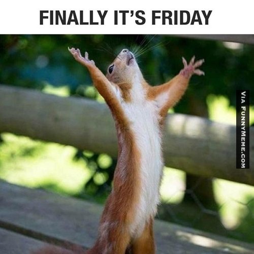 MarcotteGlass's tweet photo. We made it! #FridayFeeling https://t.co/Y4DoJXXTr0