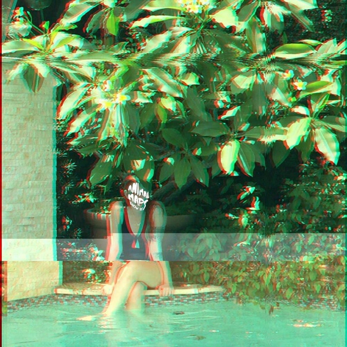 AnimalMaps's tweet image. animalmaps.bandcamp.com/album/blow-it-… two new songs now available for free