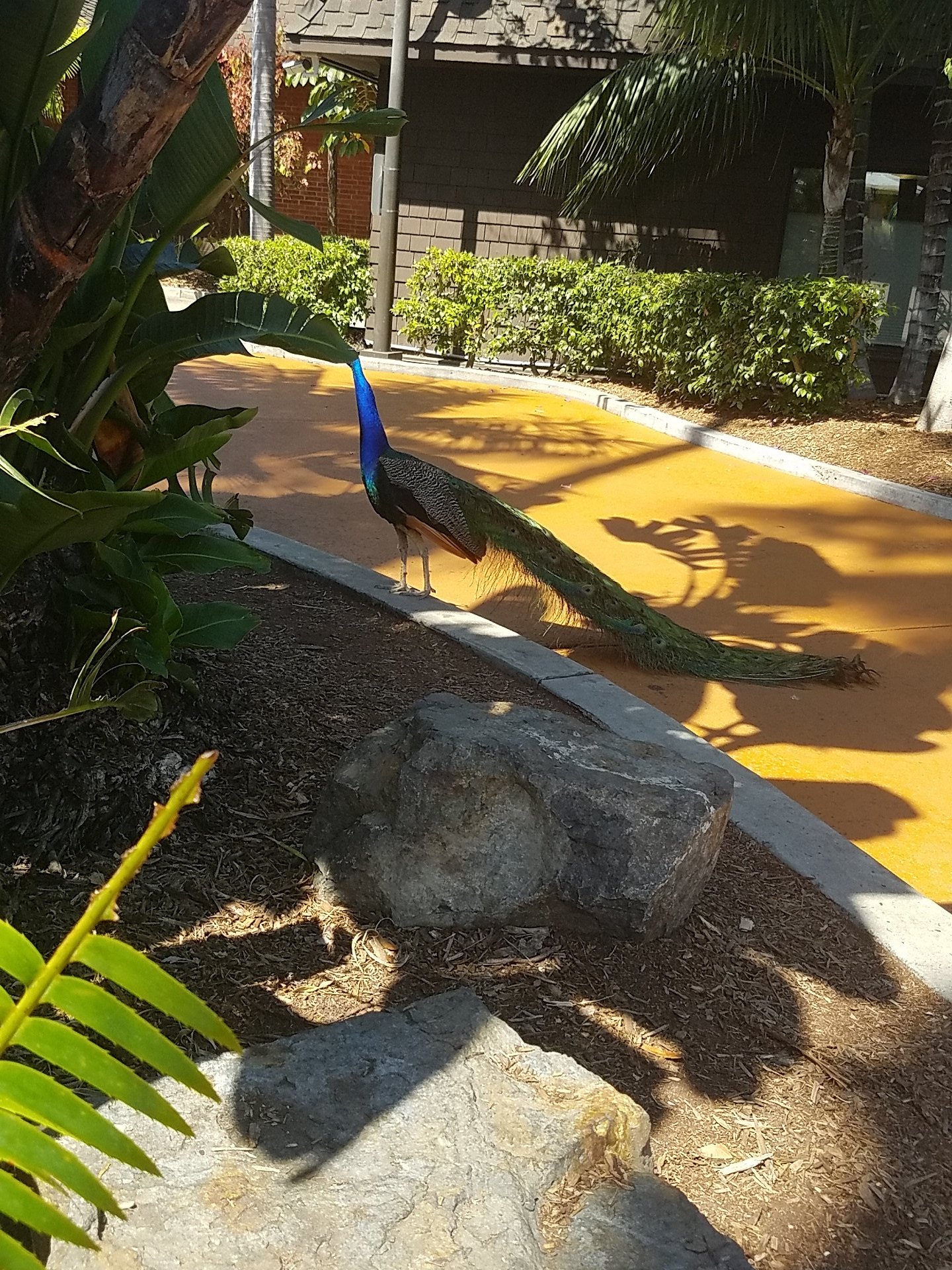 Spending the day at the zoo https://t.co/7zdz5nI1fy
