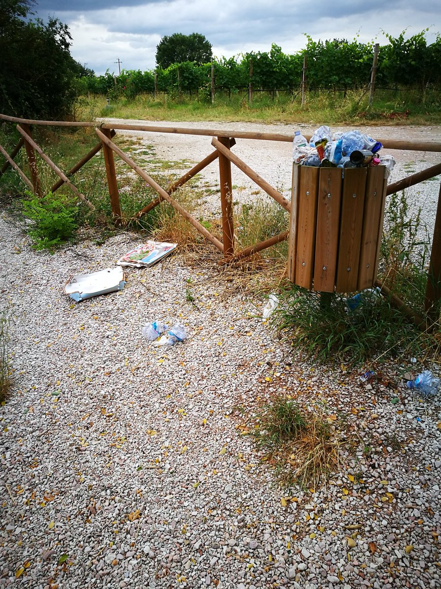 Cara Sindaco, da sabato scorso questa è la situazione del nostro percorso verde #cambiaAssisi