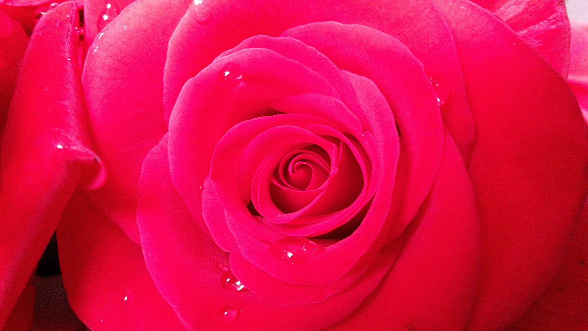 I share my afternoon shots with U my friends...wish all of you romantic evening...