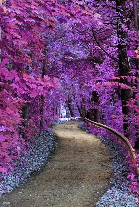 Life is the Art of drawing without an eraser...so choose colors which brighten your world&amp;bring joy 2U&amp;others