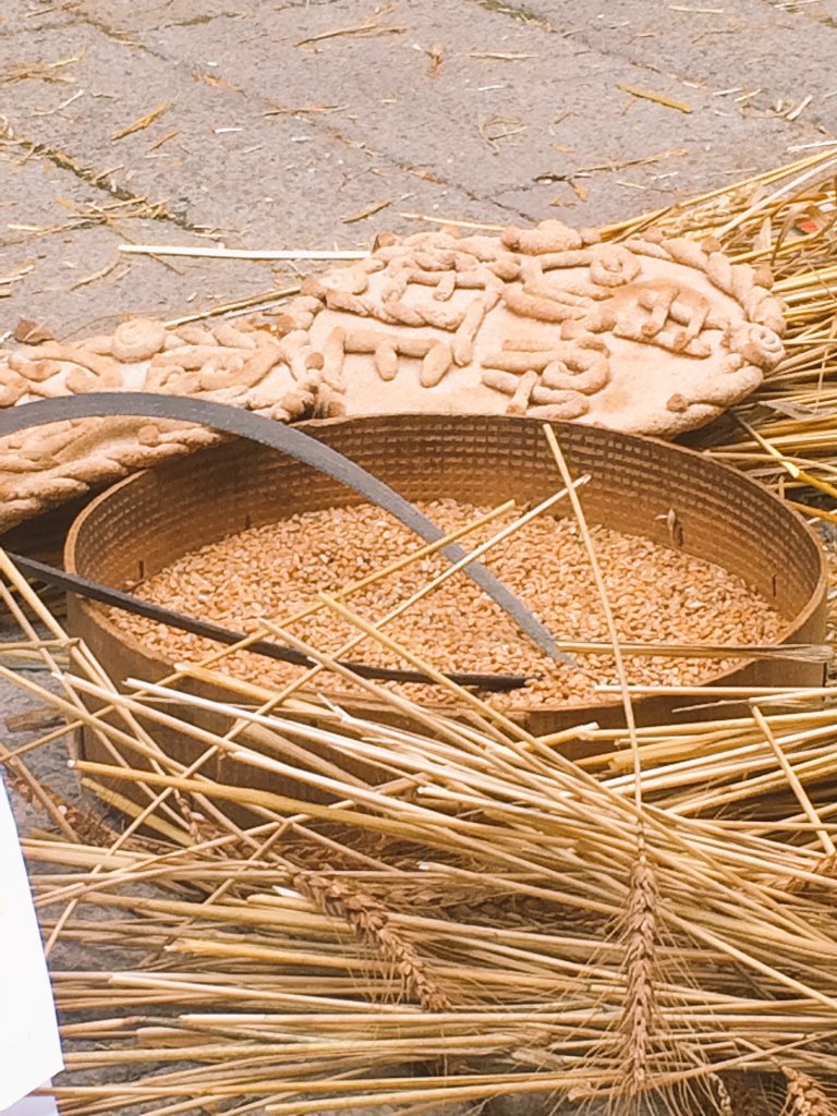 GiacomoMiola's tweet photo. il #miscuglio di semi invece dei #pesticidi. #campdigrano #sharingeconomy #cip #ruralinn  #socialinn https://t.co/B1knI4CnPX