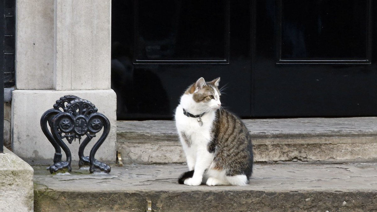 What #Brexit could mean for travel with #pets and other things...
hubs.ly/H03vdF90