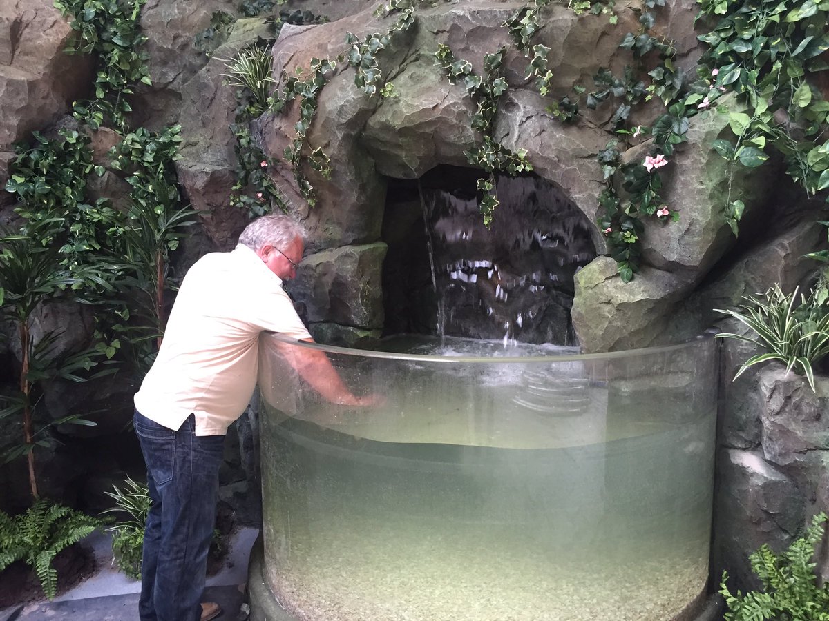 Exploris Aquarium tweet media