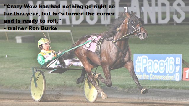 Hambletonian_'s tweet photo. Richest in the field w $1.2M, Crazy Wow is ready for #HamboMaturity with @tetrickracing & @RonBurkeRacing from PP5 https://t.co/U5MdEEuQkp